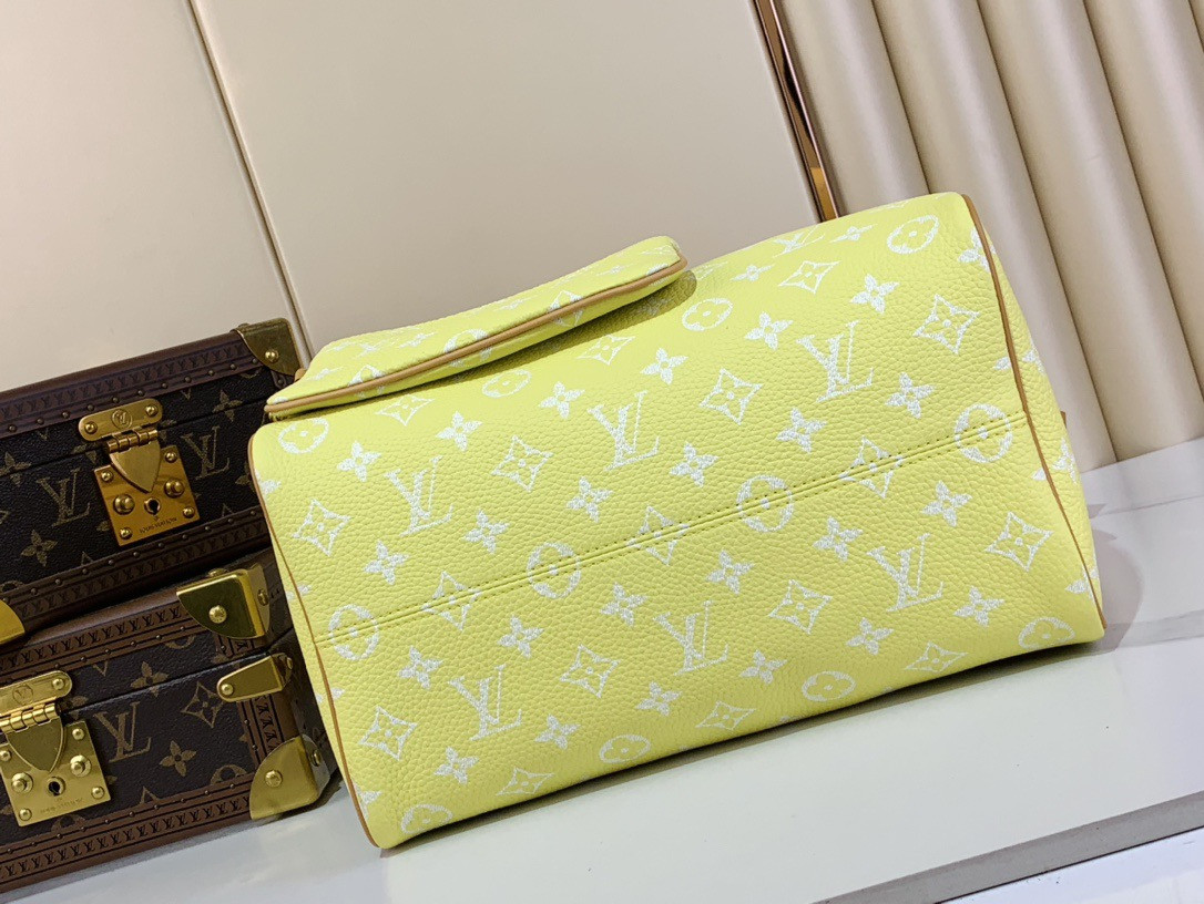 LV SPEEDY BANDOULIÈRE25 M13902