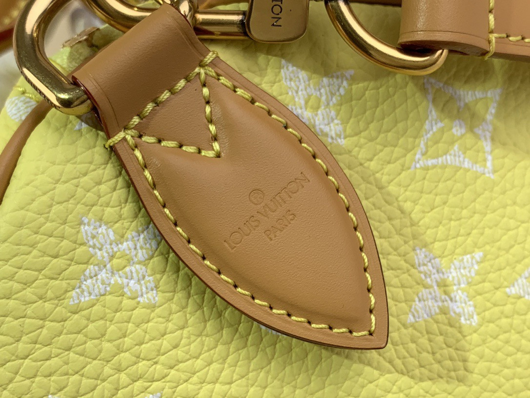 LV SPEEDY BANDOULIÈRE25 M13902